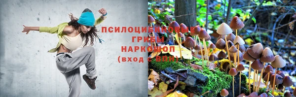 гидра Балахна